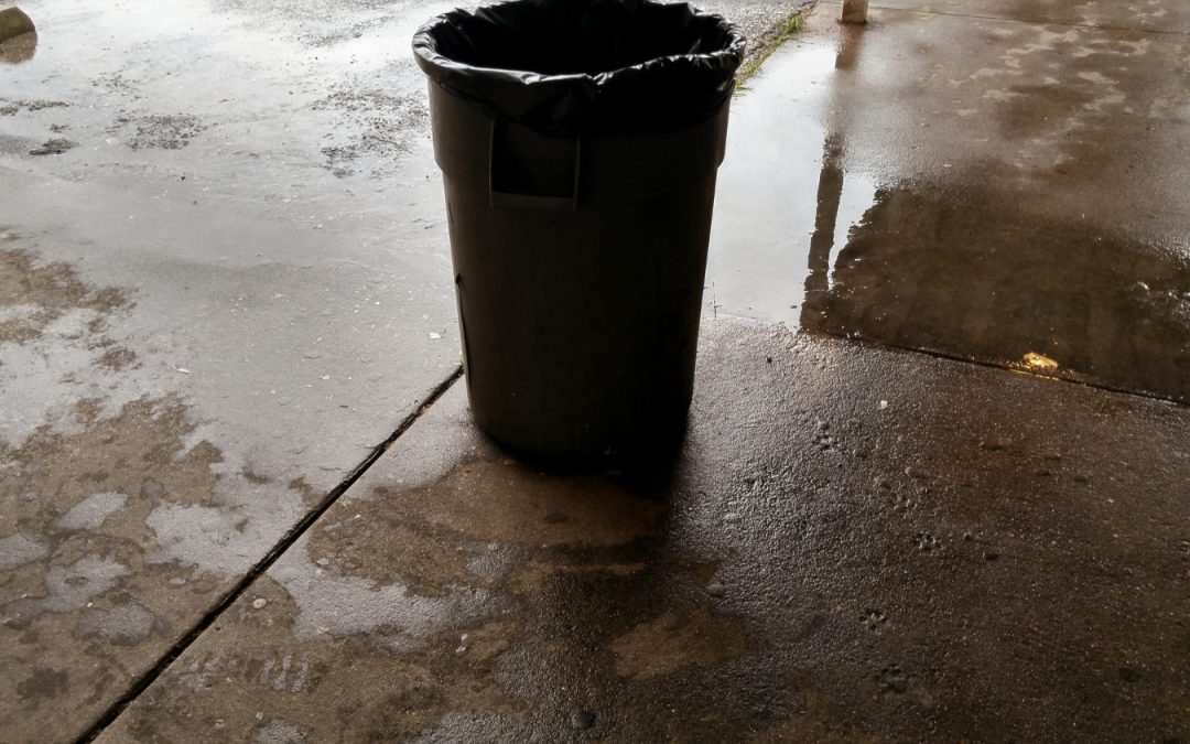 Flood Aftermath in San Bernardino: The Importance of Prompt Water Damage Restoration