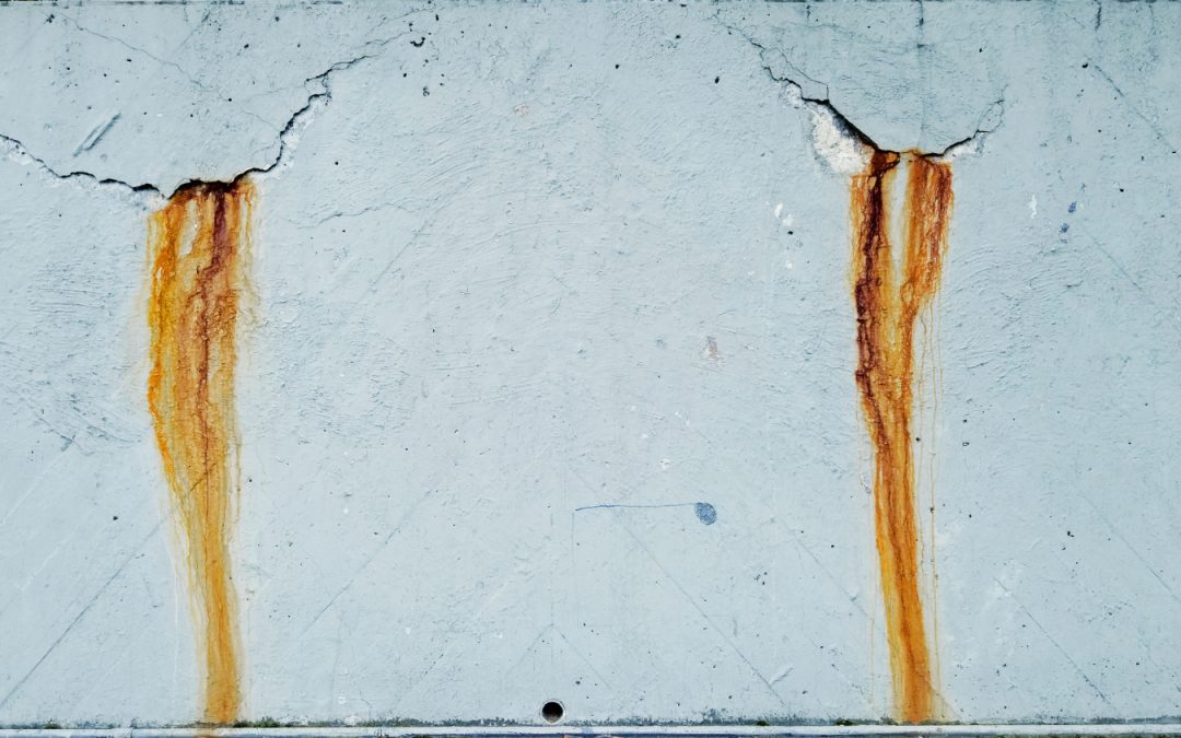 How to Identify Early Signs of Water Damage in Your Home