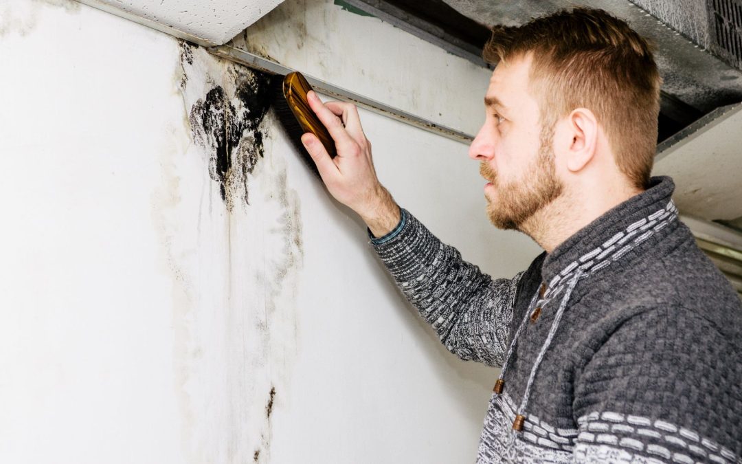 Mold Remediation After Water Damage: Protecting Your Redlands Home