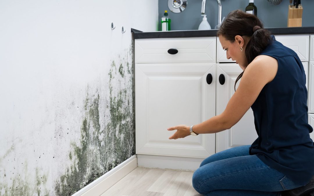 Best Time to Call a Mold Restoration Company in Redlands, CA This July