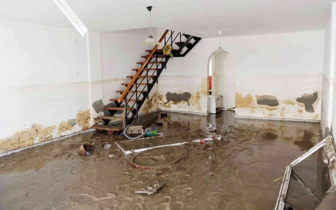 Can Water Damage Cause Mold Problems in Redlands Homes?