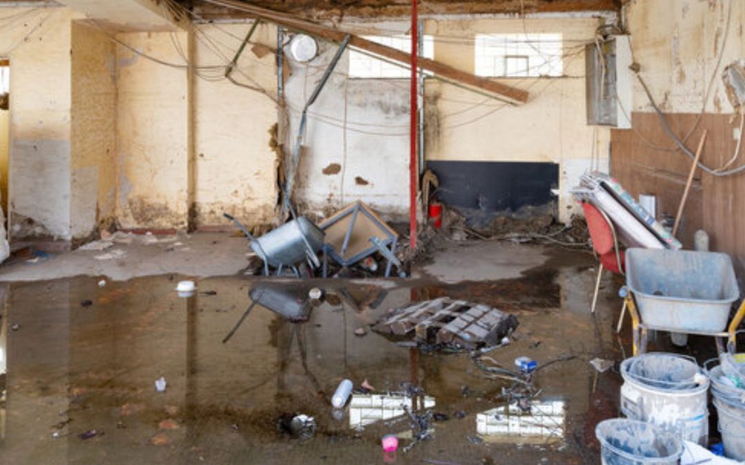 What Are the Most Common Causes of Water Damage in Denton Homes?