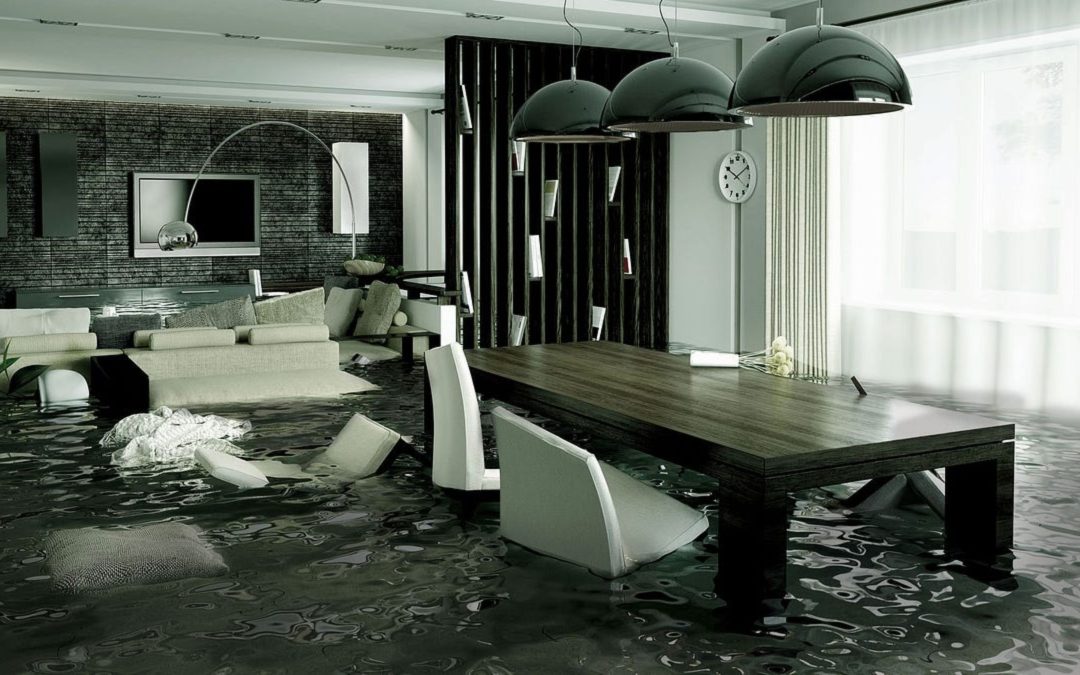 What causes water damage in Denton homes and how can you prevent it?