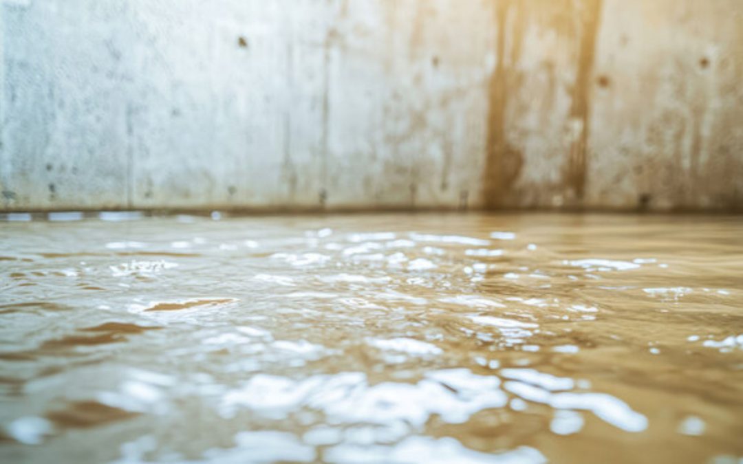What’s the Difference Between Water Damage Mitigation and Restoration in Riverside?