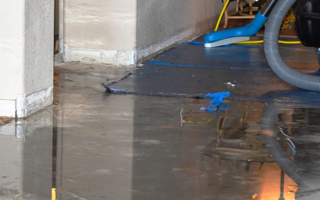 How Do Water Damage Companies in Redlands Handle Insurance Claims?