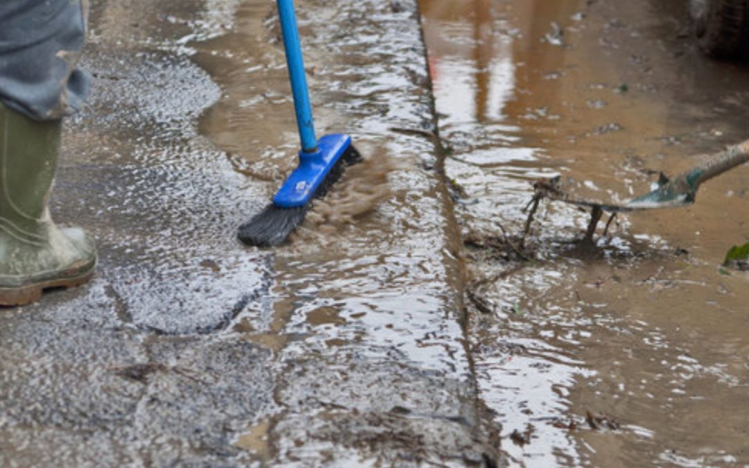 When Should You Call a Water Damage Restoration Company in Plano TX?