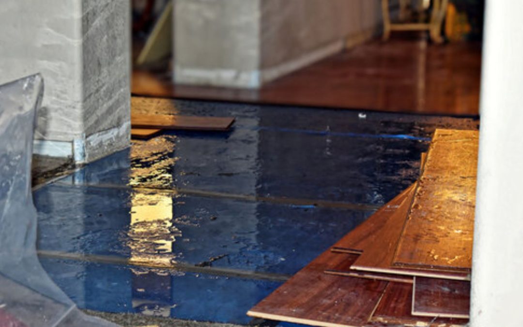 What Are the Most Reliable Water Damage Restoration Services in Plano TX?