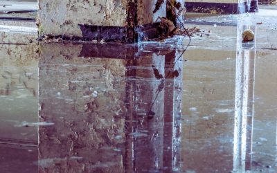 How Much Does Water Damage Restoration Cost in Redlands, CA?