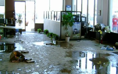 Can Water Damage Lead to Mold Problems in Frisco Homes?