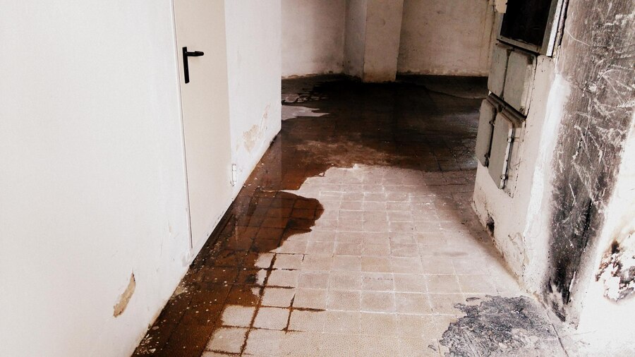 The Hidden Costs of Ignoring Water Damage: Calling for Immediate Restoration in San Bernardino