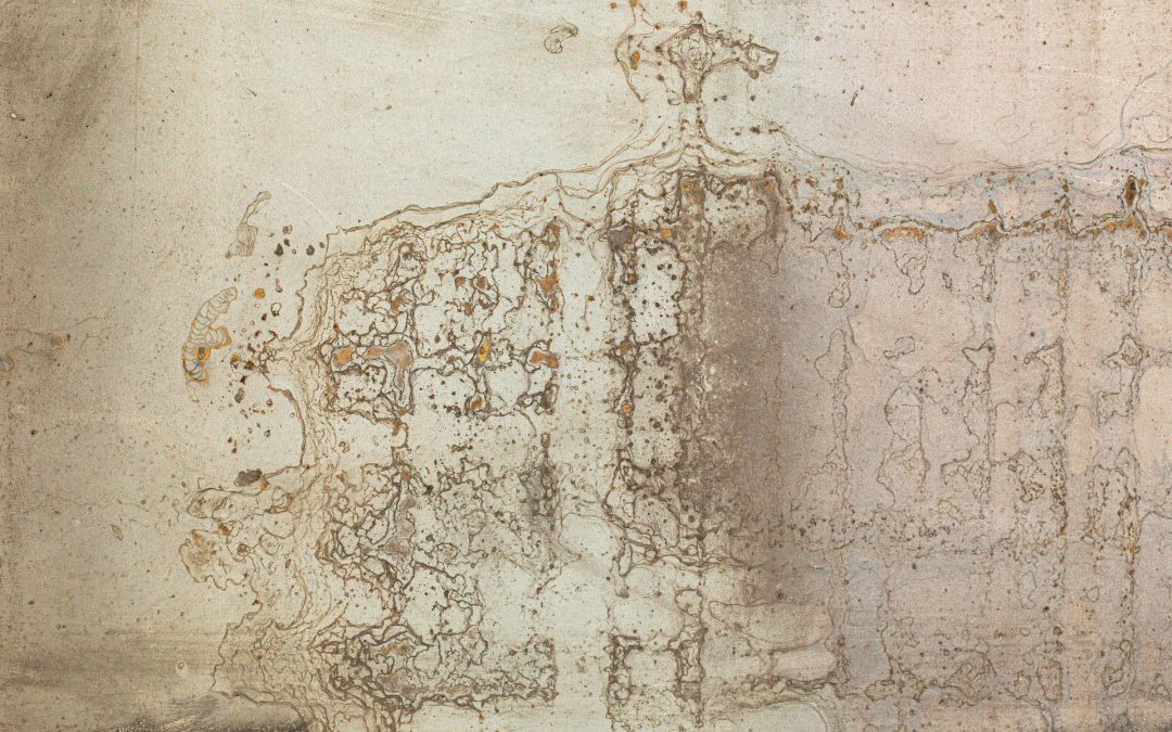 Handling Mold Issues: A Comprehensive Guide for Redlands, CA Homeowners