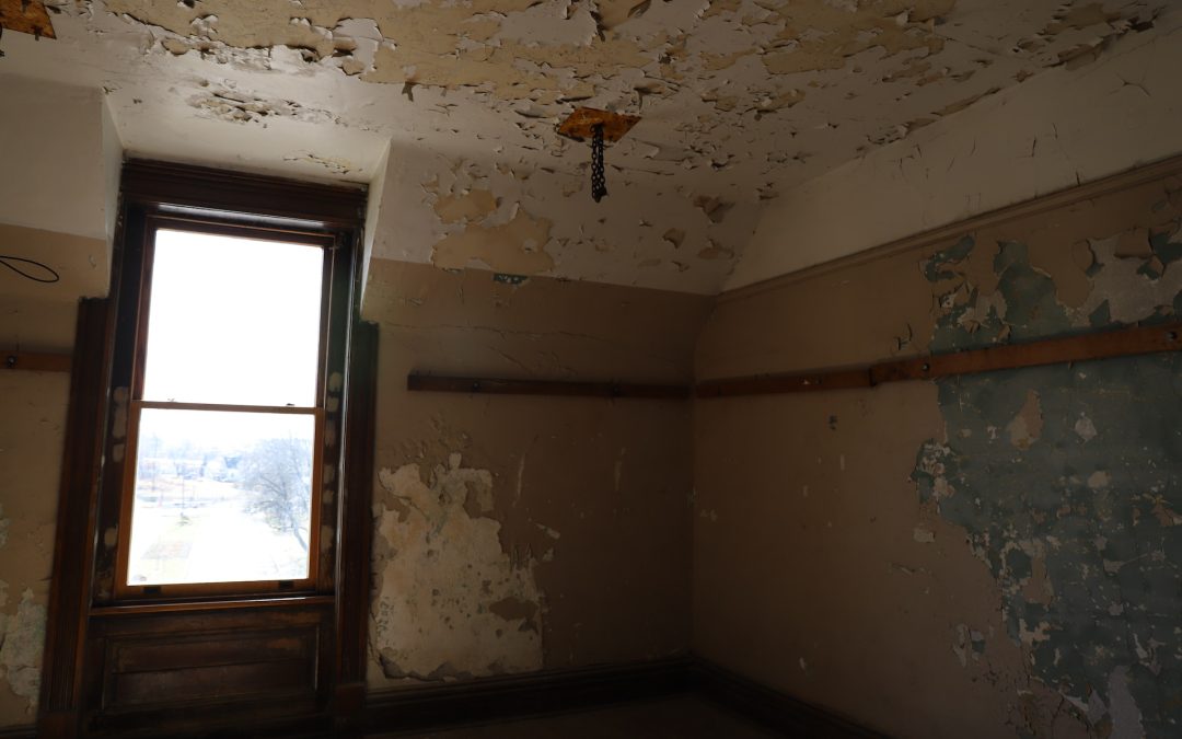 7 Signs You Need to Call a Mold Remediation Specialist ASAP