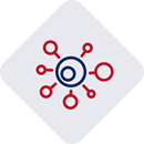 mold logo - All American Mitigation