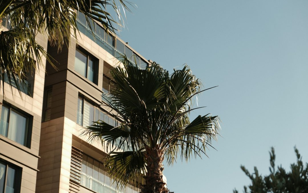 Preparing Your Commercial Property For The Summer Heat