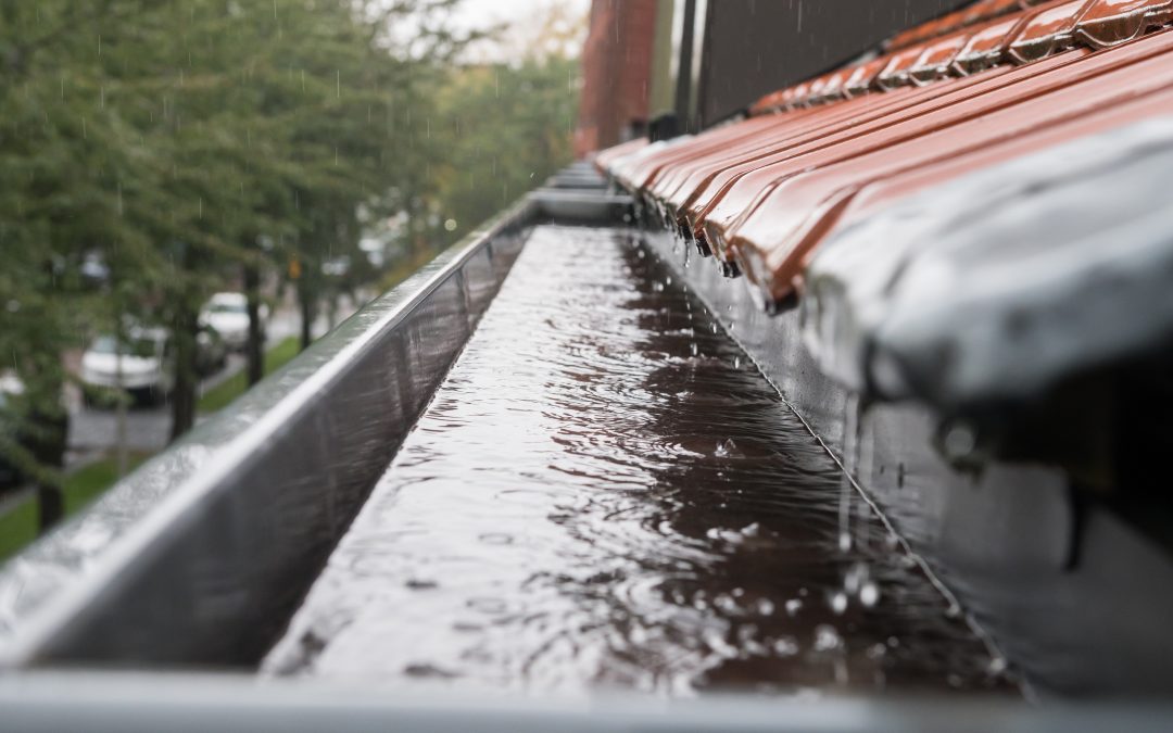 How To Protect Your Business From Water Damage During Storms